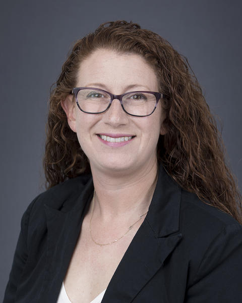 aimee hollander